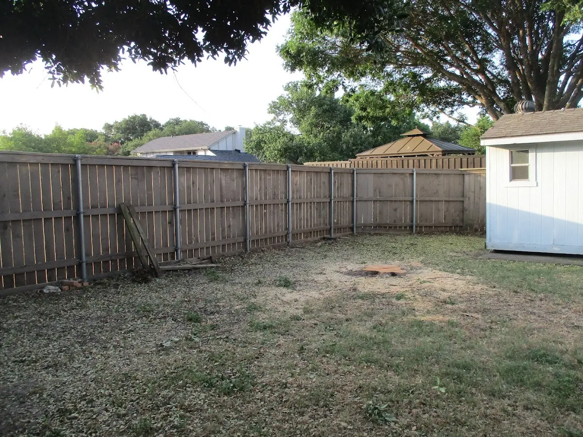 Cleared yard after professional tree removal in Sandgap
